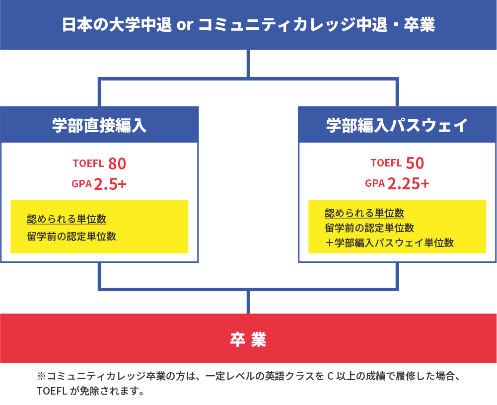 図：大学編入学のフロー